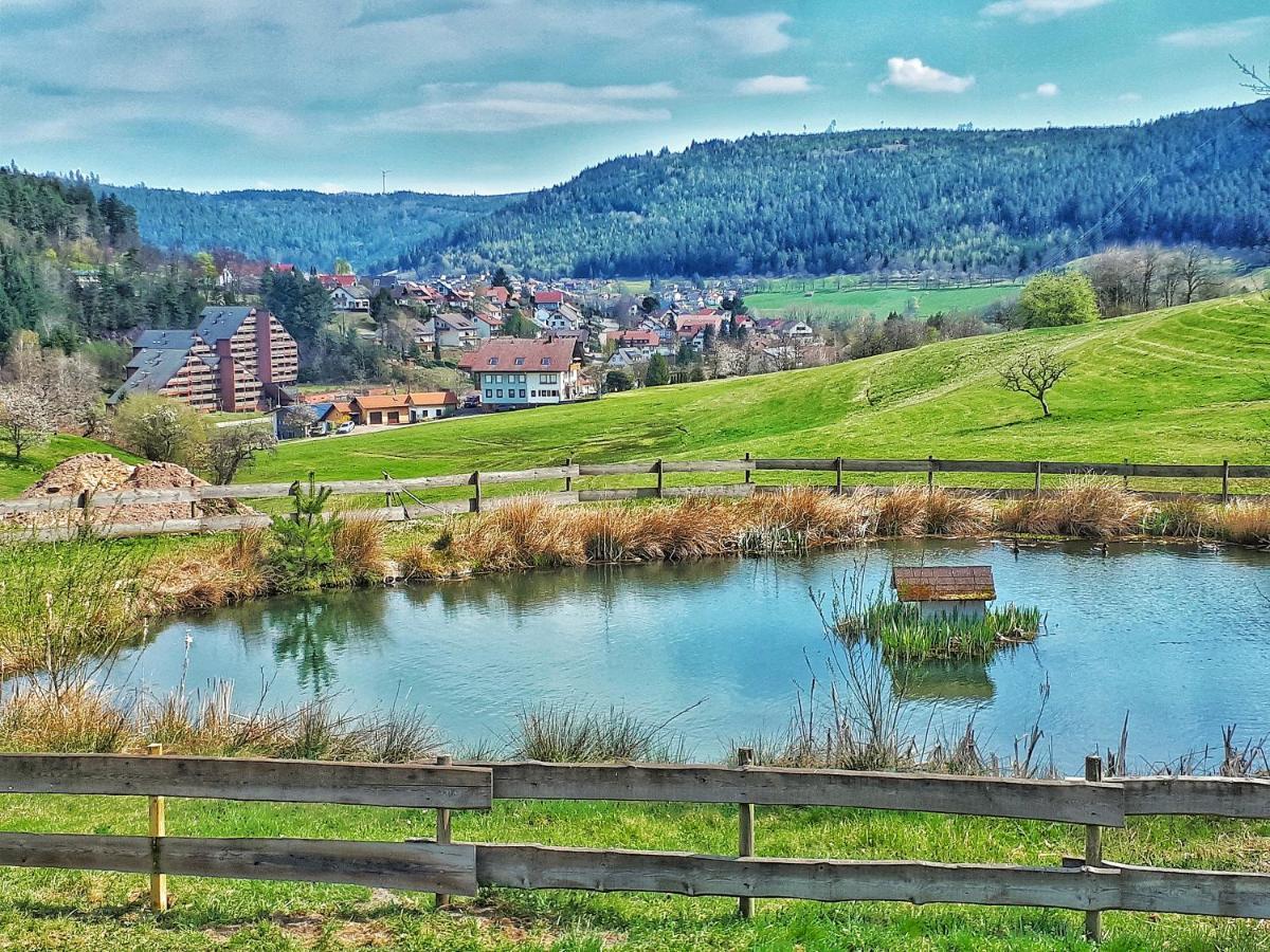 バイアースブロンSchwarzwald Woelkchenアパートメント エクステリア 写真