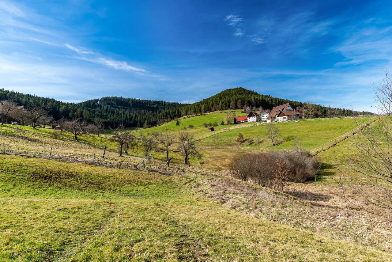バイアースブロンSchwarzwald Woelkchenアパートメント エクステリア 写真